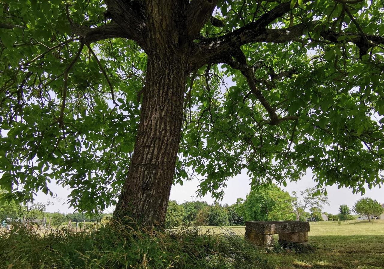 L'Ancienne Distillerie Segonzac Kültér fotó